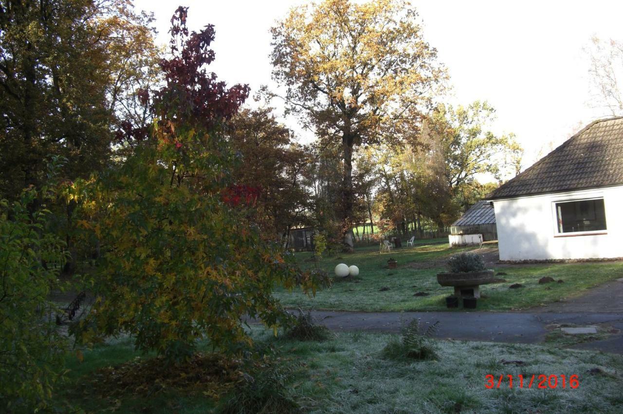 Ferienhaus Huus Ton Witten Barg Undeloh Exterior photo